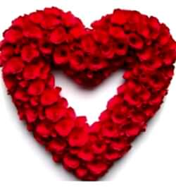 send hundred red roses heart shaped big arrangement to dhaka, bangladesh