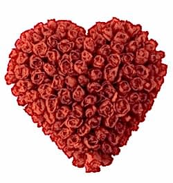 send hundred red roses full heart shaped big arrangement to dhaka, bangladesh