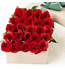 send 24 red roses full box arrangement to dhaka, bangladesh