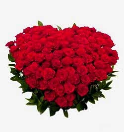 send 50 red roses full heart shaped big box arrangement to dhaka, bangladesh