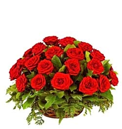 send 24 red roses in beautiful basket to dhaka, bangladesh