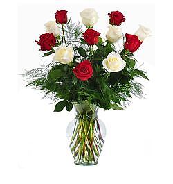 send 6 red & 6 white roses In a vase to dhaka