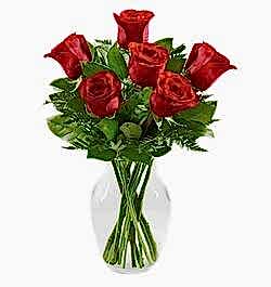 send 6 red roses in vase to dhaka