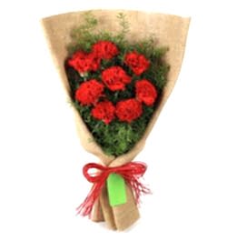 Send 8 Pcs. Red Color Carnations in Bouquet to Bangladesh