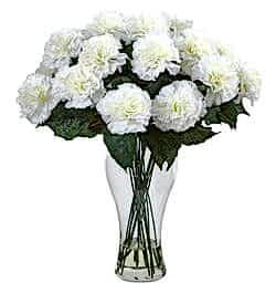 Send 12 Pcs. White Carnations in Vase to Bangledesh