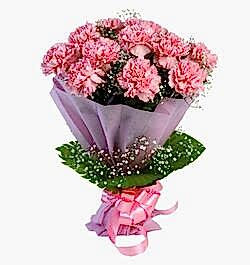 Send Bouquet of 12 pink carnations to Bangladesh