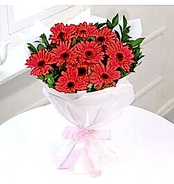 Send 12 Pcs. Red Gerberas in Bouquet to Bangladesh