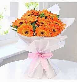 Send Dozen Orange Gerberas to Dhaka in Bangladesh