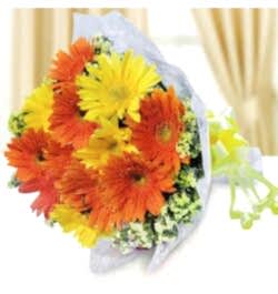 Send 18 Yellow and Orange Gerberas to Bangladesh