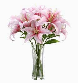 Send Fragrant Stargazer Lilies to Dhaka in Bangladesh