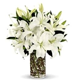 Send 10 Stalks White lilies with Green to Dhaka in Bangladesh