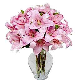 Send Pink Lilies with vase to Dhaka in Bangladesh