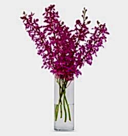 Send 10 Stems Pink Color Orchid in Vase to Bangladesh