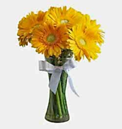 send 9 pcs gerbera in vase to bangladesh